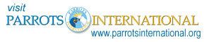 Parrots International