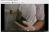 Video update of baby Amazon Parrots