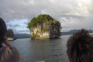 Roosting site for the Great Billed Parrot