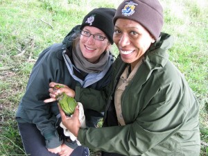 Gemma French (volunteer) and Arelis Johnson (USFWS) with wild adult Slender-billed parakeet captured at nest site.