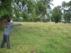 Gemma French releasing wild adult Slender-billed parakeet at nest site following attachment of radiocollar.